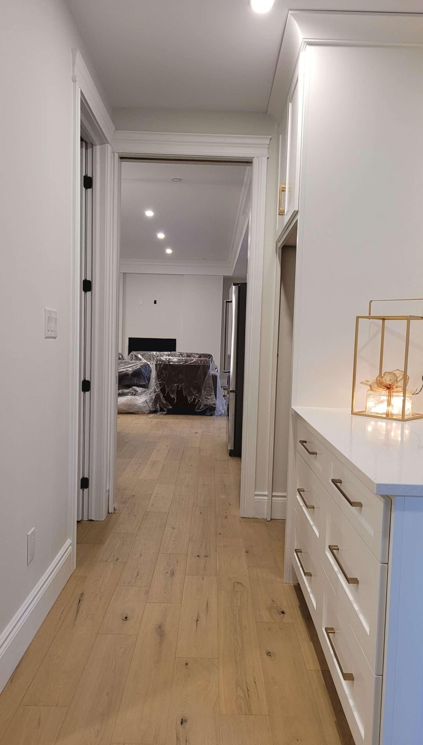 Professional House Painters